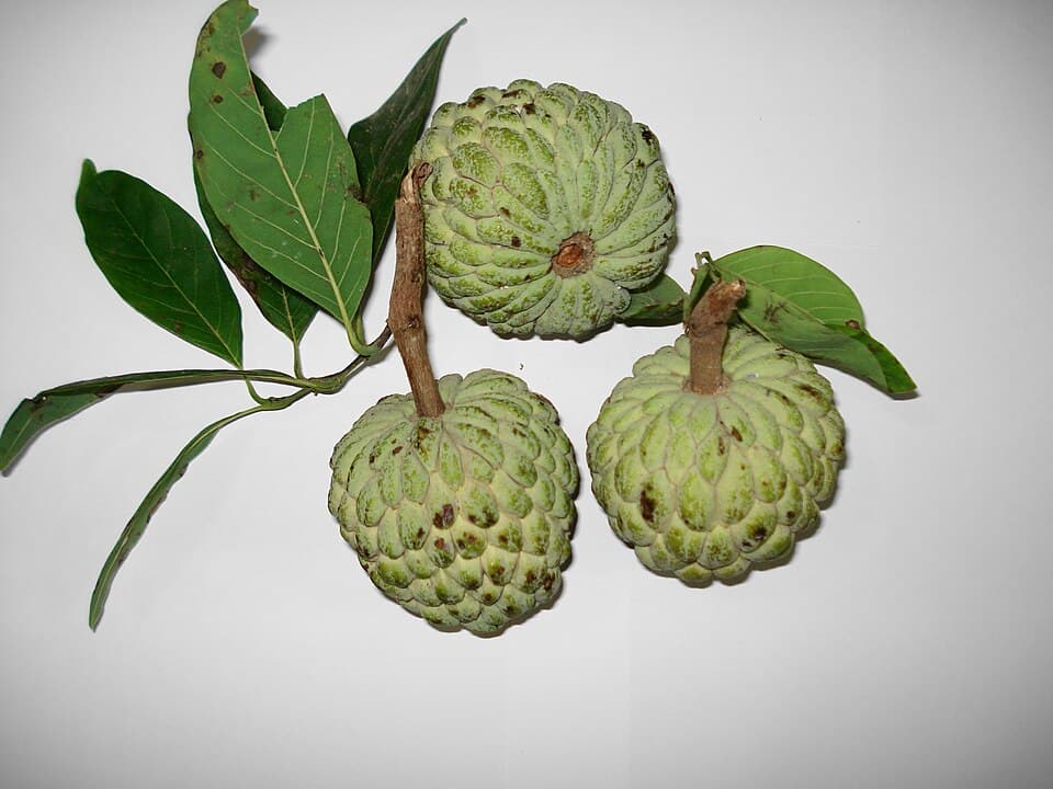 Sitafal (Custard Apple)